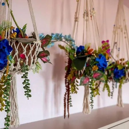 Hotel Le Rose Poudre - Spacieux Et Lumineux- Hypercentre Lisle-sur-Tarn