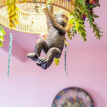 Le Rose Poudre - Spacieux Et Lumineux- Hypercentre