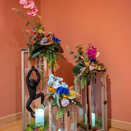 Le Rose Poudre - Spacieux Et Lumineux- Hypercentre * Lisle-sur-Tarn