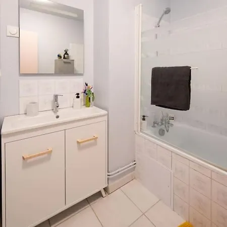 Le Rose Poudre - Spacieux Et Lumineux- Hypercentre Lisle-sur-Tarn