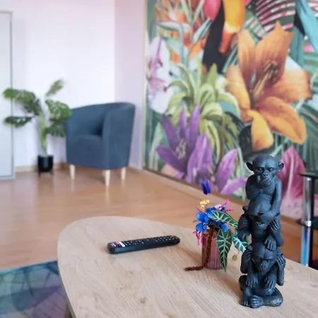 Le Rose Poudre - Spacieux Et Lumineux- Hypercentre