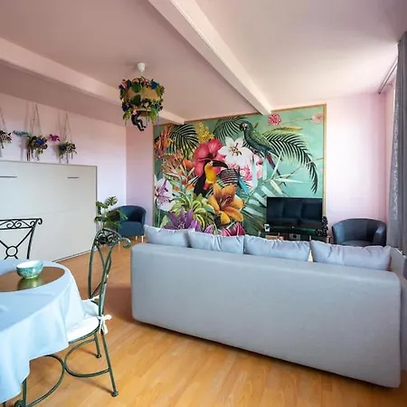 Le Rose Poudre - Spacieux Et Lumineux- Hypercentre Hotel Lisle-sur-Tarn