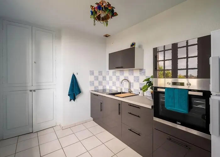 Le Rose Poudre - Spacieux Et Lumineux- Hypercentre * Lisle-sur-Tarn