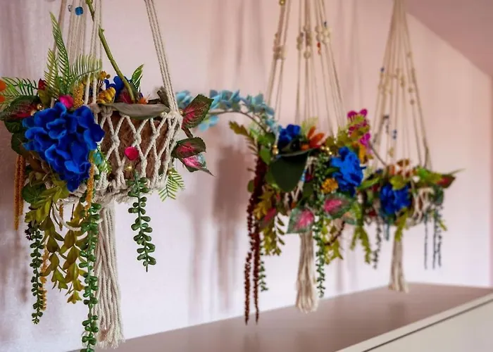 Hotel Le Rose Poudre - Spacieux Et Lumineux- Hypercentre Lisle-sur-Tarn