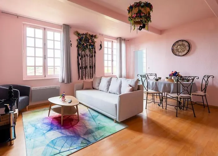 Le Rose Poudre - Spacieux Et Lumineux- Hypercentre Hotel Lisle-sur-Tarn