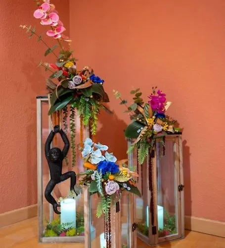 Le Rose Poudre - Spacieux Et Lumineux- Hypercentre * Lisle-sur-Tarn